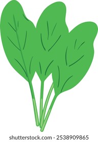 Desenho Animado Ilustração de folhas de azedas verdes, ilustração vetorial de duas folhas de azedas verdes em um estilo simples, desenho animado, destacando elementos de alimentos frescos e saudáveis.