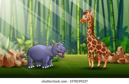 Cartoon illustration of hippo and giraffe living in the forest