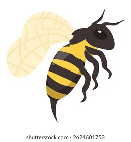 Cartoon illustration of a honey bee flying with its wings spread