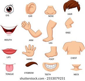 Cartoon illustration of human body part