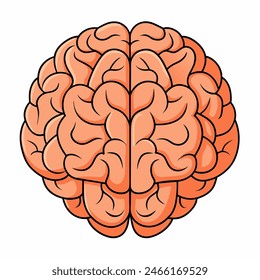 A cartoon illustration of a human brain on a plain white background