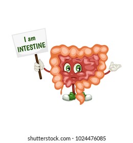 Cartoon Illustration of a . Human Internal Organs. Vector Illustration