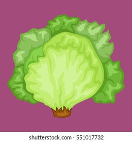 Cartoon Illustration of an Iceberg Lettuce