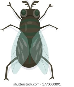 Dibujo de dibujos animados de insectos, mosca. estilo plano aislado en un fondo blanco. Ilustración del vector
