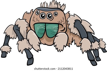 Cartoon illustration jumping spider insect animal character