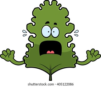 A cartoon illustration of a kale leaf looking scared.