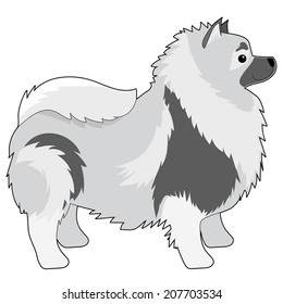 A cartoon illustration of a Keeshond