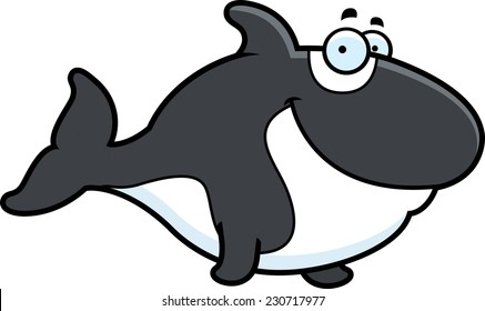 A cartoon illustration of a killer whale happy and smiling.