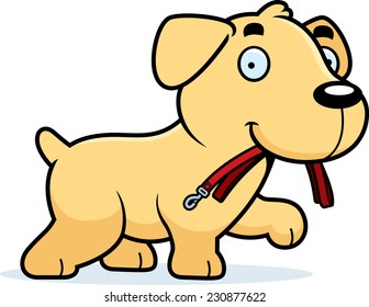 A cartoon illustration of a Labrador Retriever walking with a leash in his mouth.