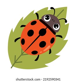 Ilustración De Caricatura De Una Mariquita De Ladybug