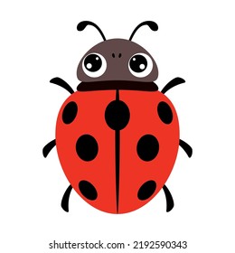 Ilustración De Caricatura De Una Mariquita De Ladybug