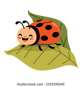 Ilustración De Caricatura De Una Mariquita De Ladybug