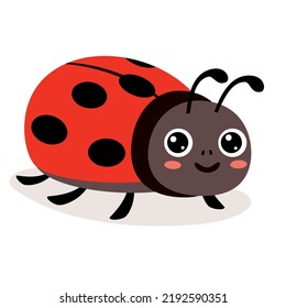 Cartoon Illustration Of A Ladybug