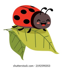 Cartoon Illustration Of A Ladybug