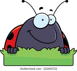 A cartoon illustration of a ladybug with a grass sign.