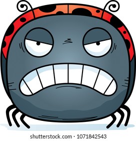A cartoon illustration of a ladybug looking angry.