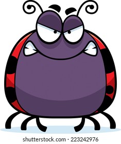 A cartoon illustration of a ladybug looking angry.