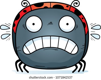 A cartoon illustration of a ladybug looking scared.