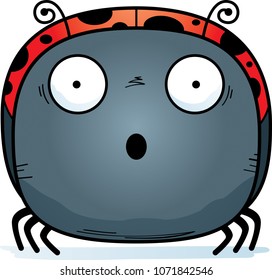A cartoon illustration of a ladybug looking surprised.