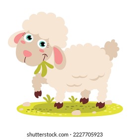 Cartoon Illustration Of A Lamb