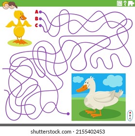 Cartoon illustration of lines maze puzzle game with comic duck character and little duckling