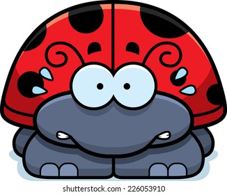 A cartoon illustration of a little ladybug looking nervous.