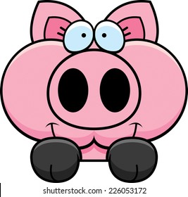 A cartoon illustration of a little pig peeking over an object.