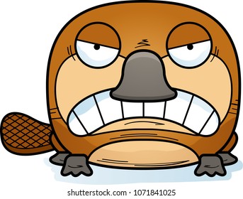 A cartoon illustration of a little platypus with an angry expression.