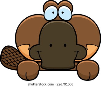 A cartoon illustration of a little platypus peeking over an object.