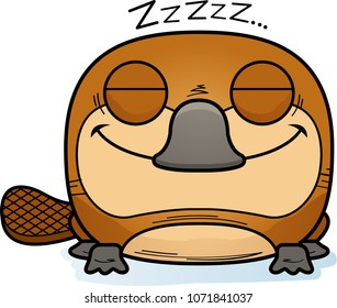 A cartoon illustration of a little platypus taking a nap.