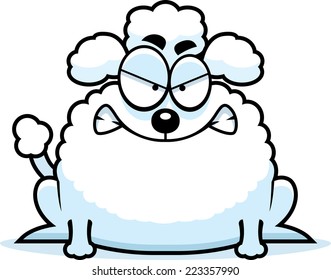 A cartoon illustration of a little poodle looking mad.