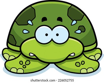 A cartoon illustration of a little sea turtle looking nervous.