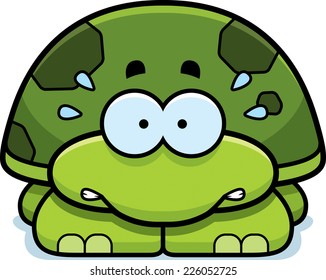 A cartoon illustration of a little turtle looking nervous.