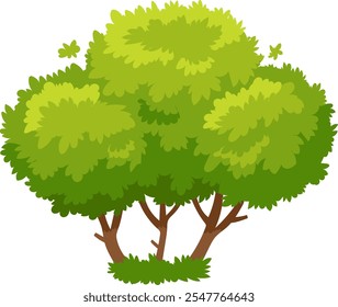 Cartoon illustration of a lush green bush with multiple trunks and branches, growing on a patch of grass, isolated on a white background