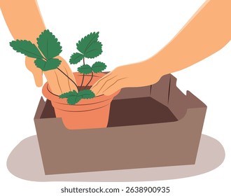 Cartoon illustration of male hands planting a seedling in a cardboard box, promoting sustainability and eco gardening
