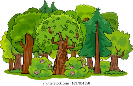 Ilustración de bosque mixto con árboles caducifolios y coníferas