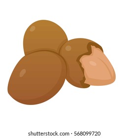 Cartoon illustration of nuts vector icon for web