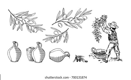 Dibujo de caricatura con ramas de aceitunas, el granjero recoge la cosecha de aceitunas y jarras maduras. Diseño para aceite de oliva, cosméticos naturales. Ilustración monocroma en blanco y negro dibujada a mano