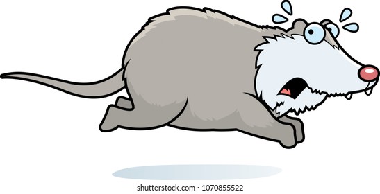 A cartoon illustration of a opossum running away.