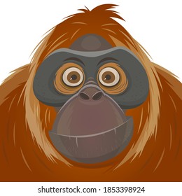 cartoon illustration of an orangutan ape