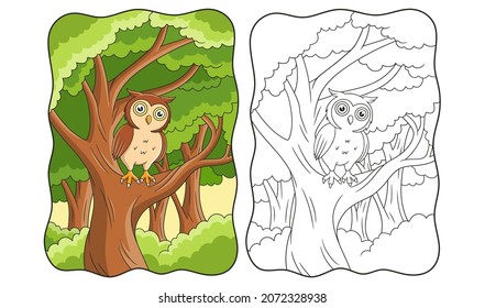cartoon illustration the owl is above a large and shady tree during the day book or page for kids