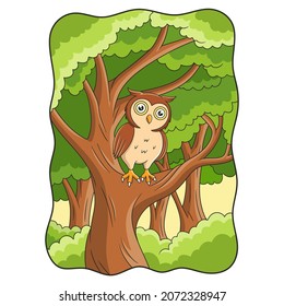 cartoon illustration the owl is above a large and shady tree during the day