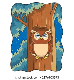 cartoon illustration owl standing in front of his house on a big tree trunk at night
