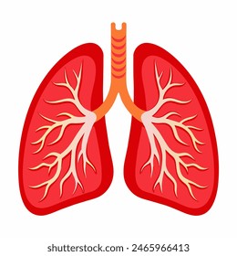 A cartoon illustration of a pair of lungs on a white background