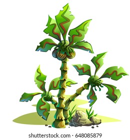 Cartoon illustration of a palm tree with grass and stones. Vector game design.

