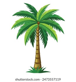 a cartoon illustration of a palm tree with a white background