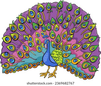 Cartoon illustration of peacock bird comic animal character