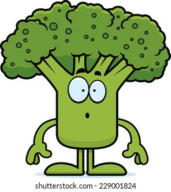 A cartoon illustration of a piece of broccoli looking surprised.