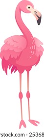 Cartoon illustration of a pink flamingo standing majestically, showcasing its vibrant plumage and slender legs