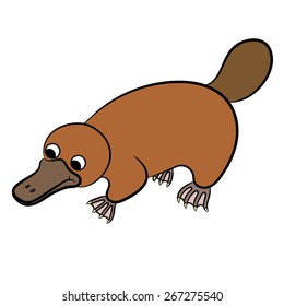 Cartoon illustration of platypus or duckbill animal on a white background. Vector